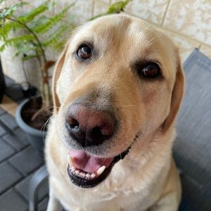 Meet your Posher, Kathryn